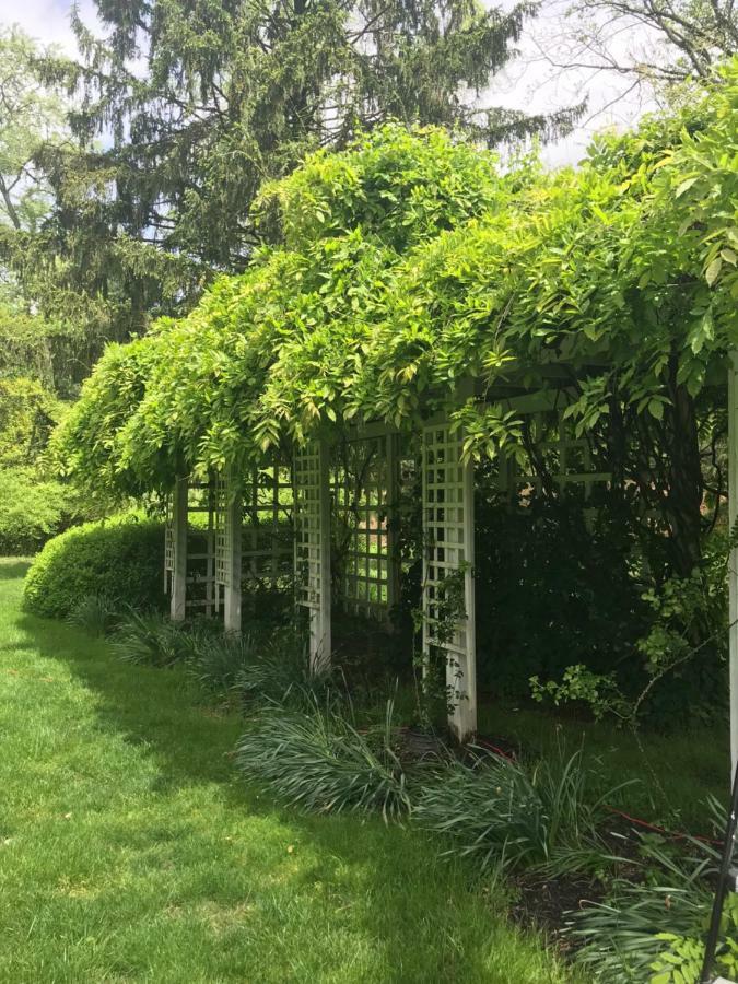 Wild Wisteria Panzió Chadds Ford Kültér fotó